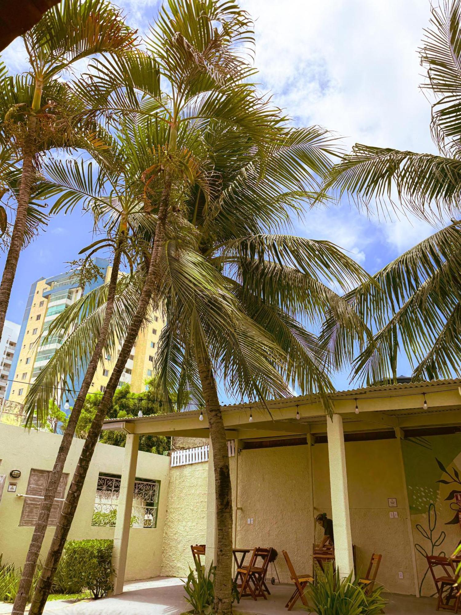 Caju Albergue Aracaju